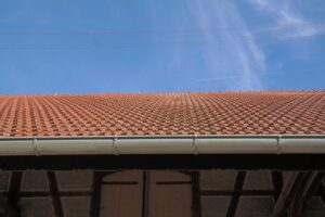 Verstopfte Dachrinne mit Laub – regelmäßige Reinigung verhindert Wasserschäden.