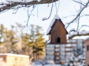 Dach vor dem winter schuetzen.