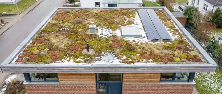 Gründach im Winter auf einem modernen Flachdach mit Dachbegrünung, Schneefeldern und Photovoltaikanlage.